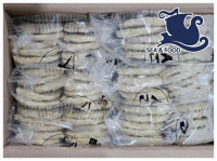 씨엔순살돈까스(9kg)